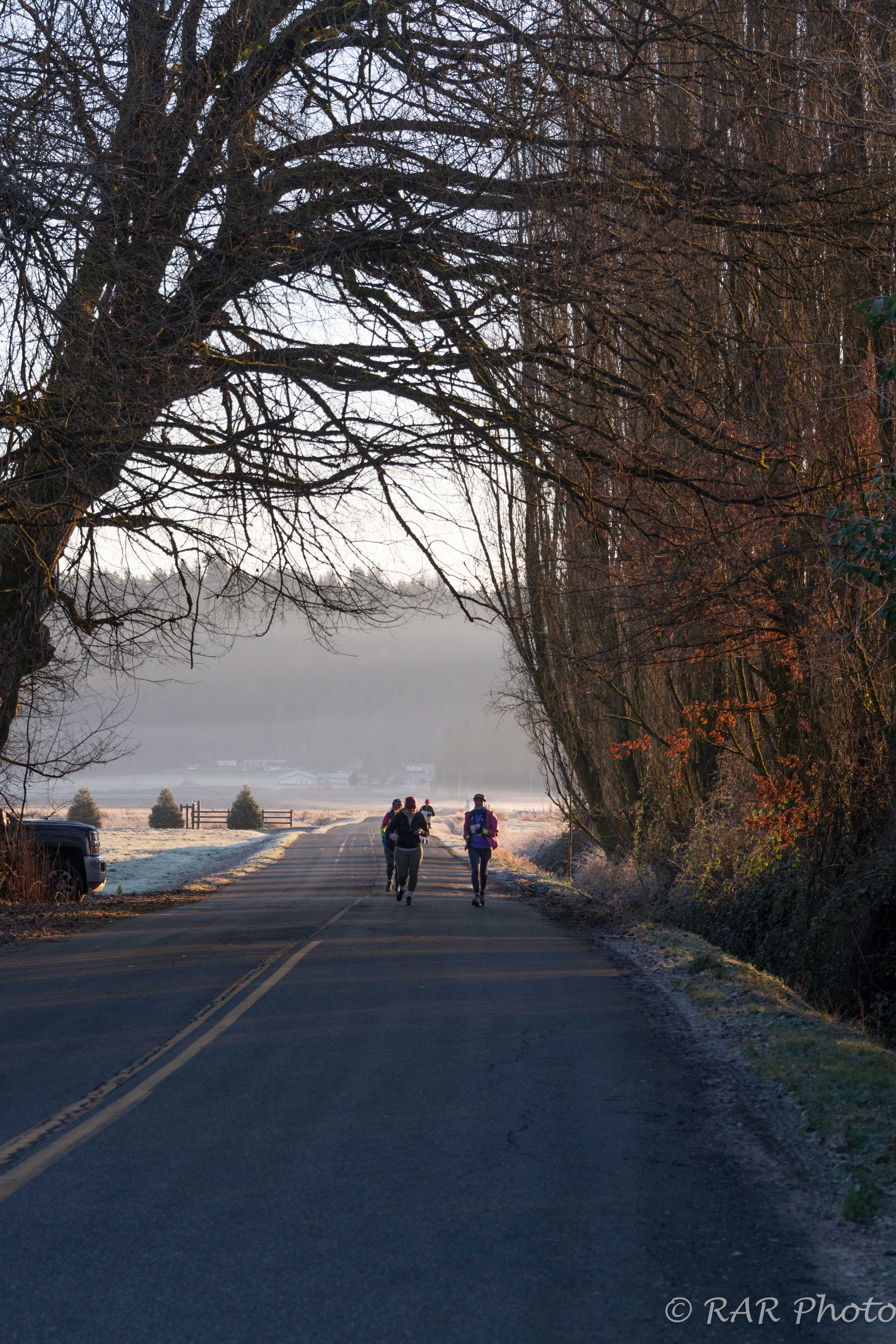 Learn to Run 5K — Langley